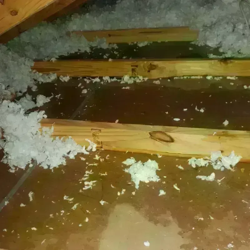 Best Attic Water Damage Service in Carver Ranches, FL